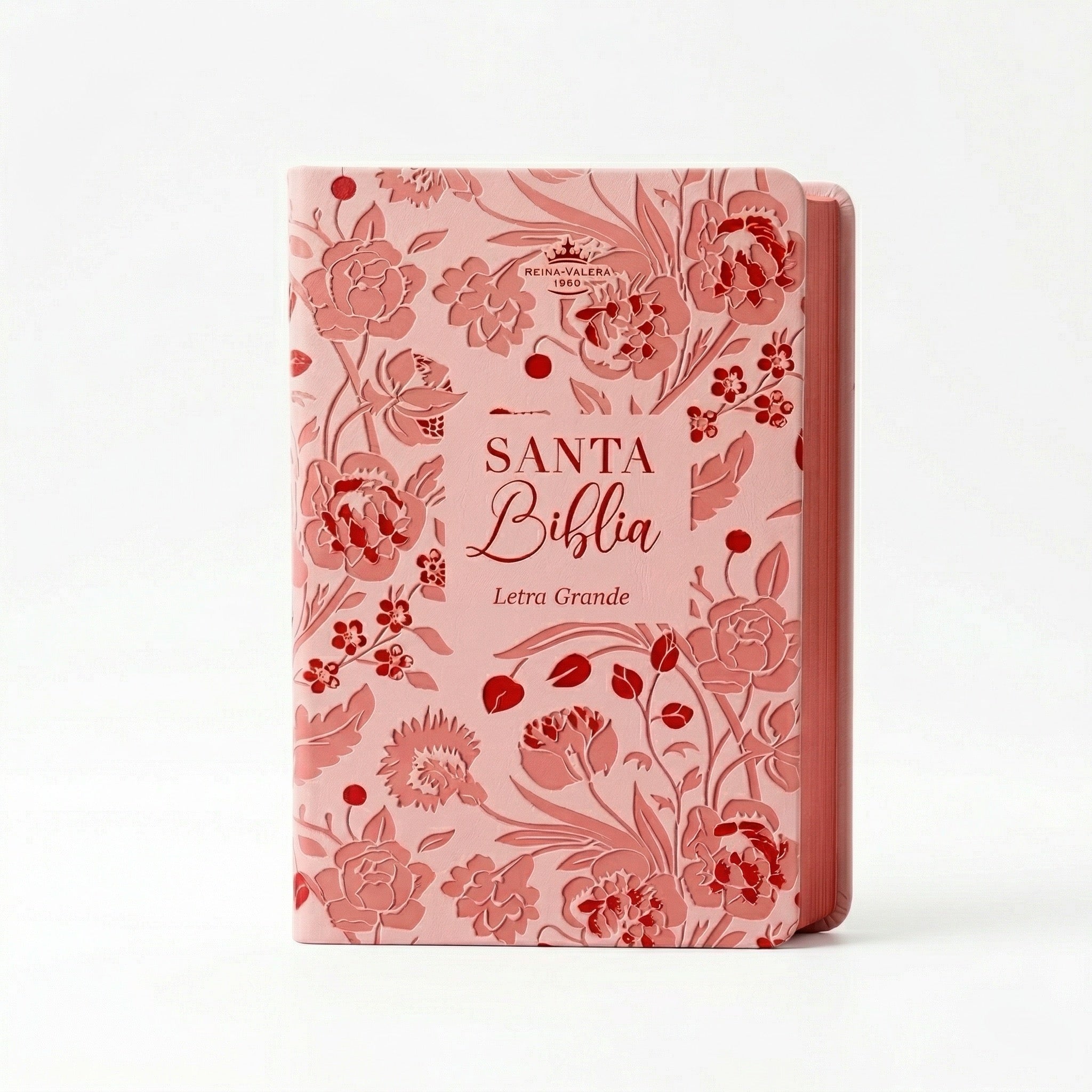 Biblia RVR60 Letra Grande