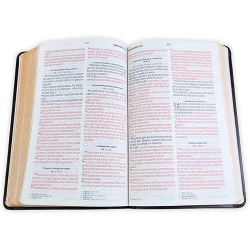 Biblia Letra Grande.Edición Bicolor Café