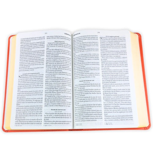 Biblia obsequios y premios RVR60 Letra Grande