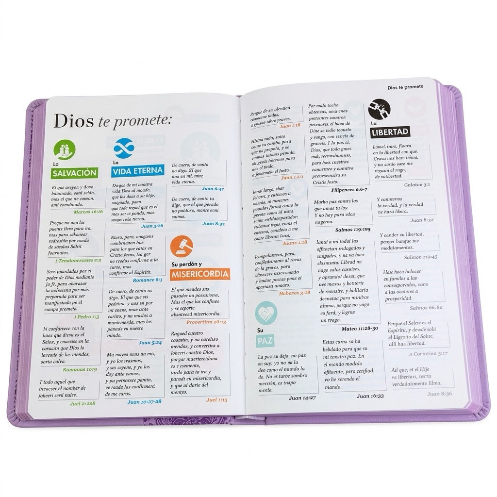 Biblia RVR60 Letra Grande Edición Púrpura