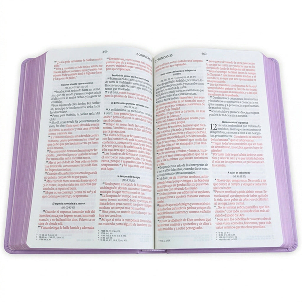 Biblia RVR60 Letra Grande Edición Púrpura