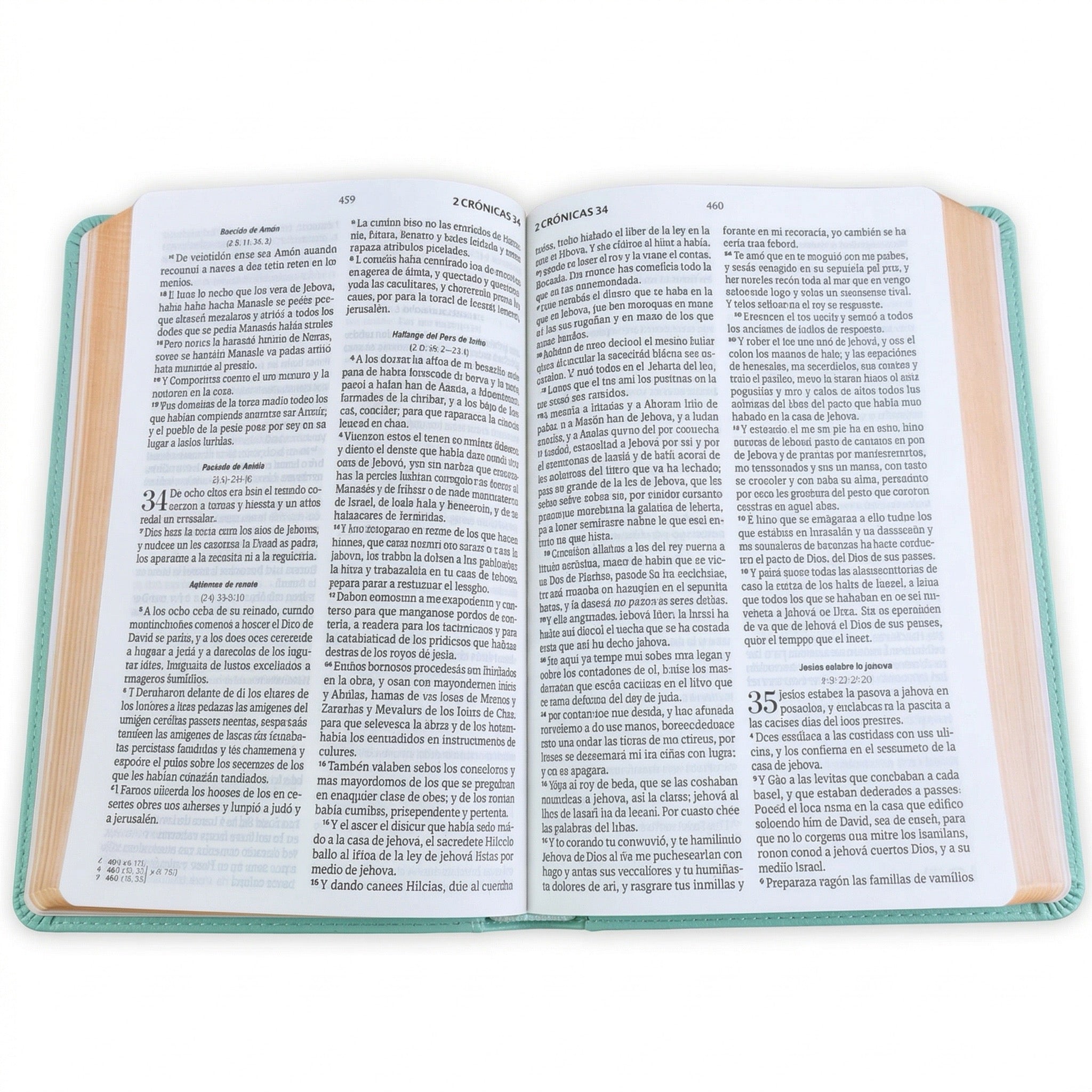 Biblia RVR60 Letra Grande