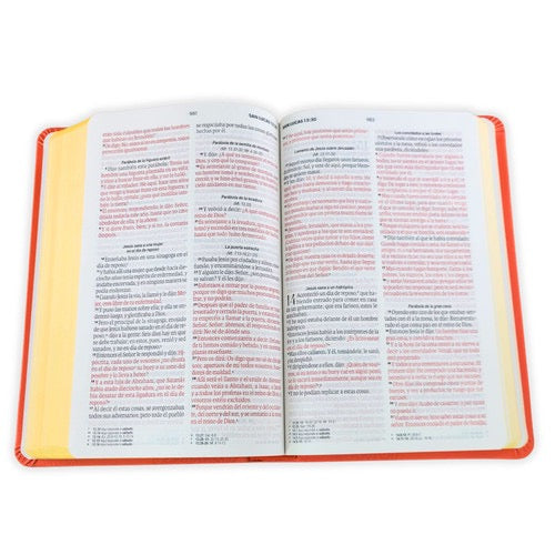Biblia obsequios y premios RVR60 Letra Grande