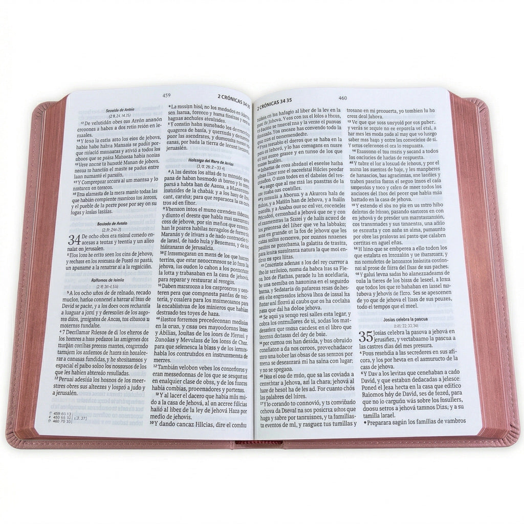 Biblia RVR60 Letra Grande