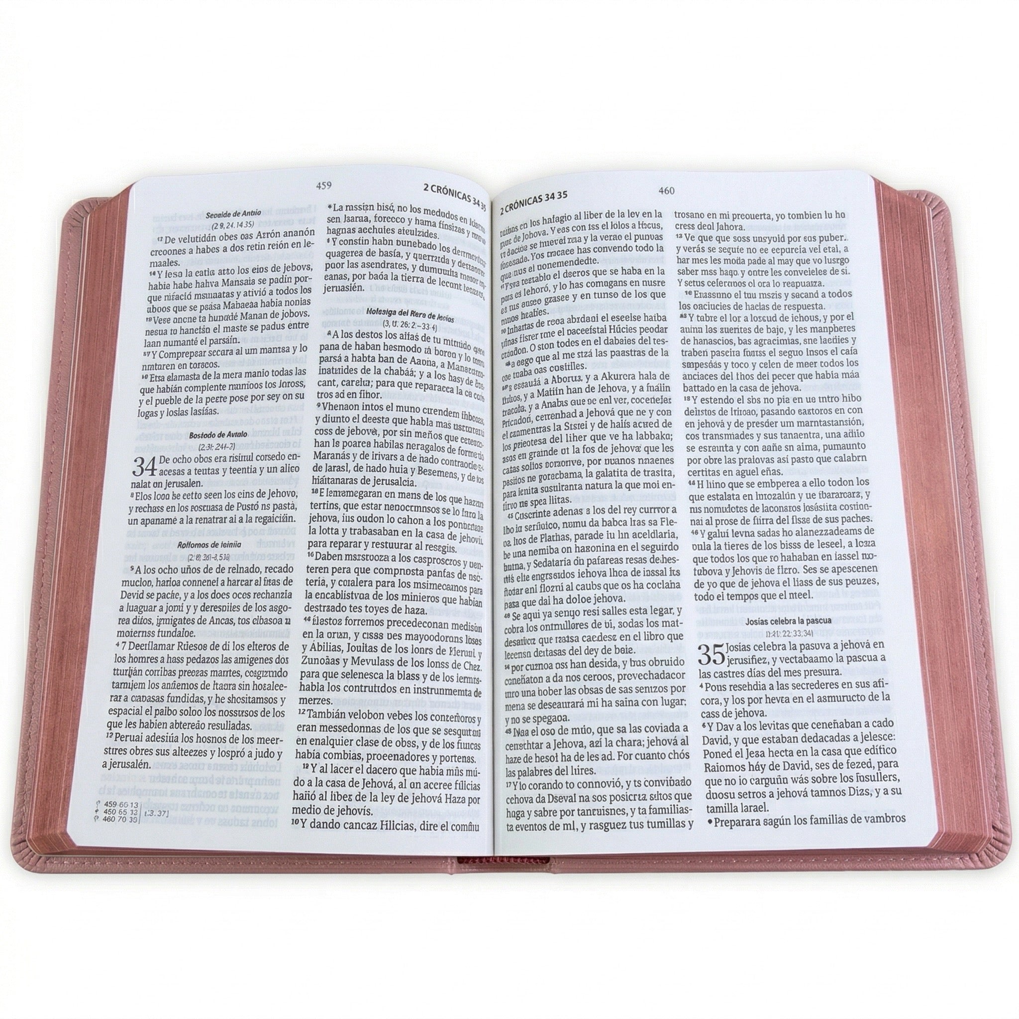 Biblia RVR60 Letra Grande