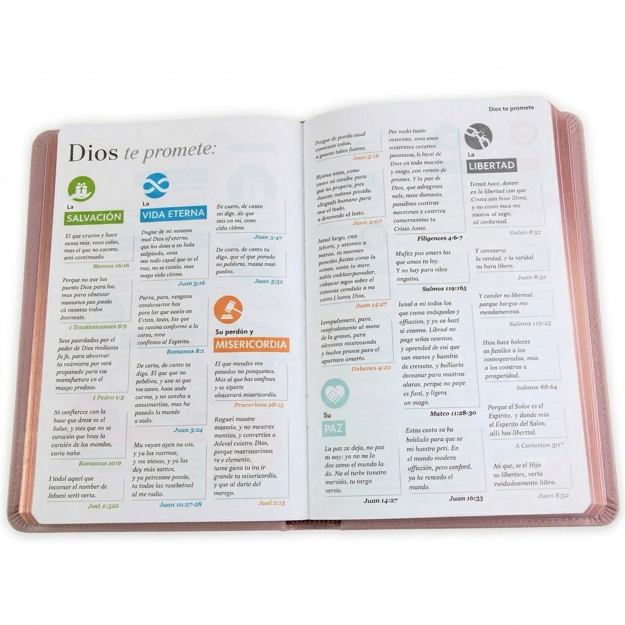 Biblia RVR60 Letra Grande