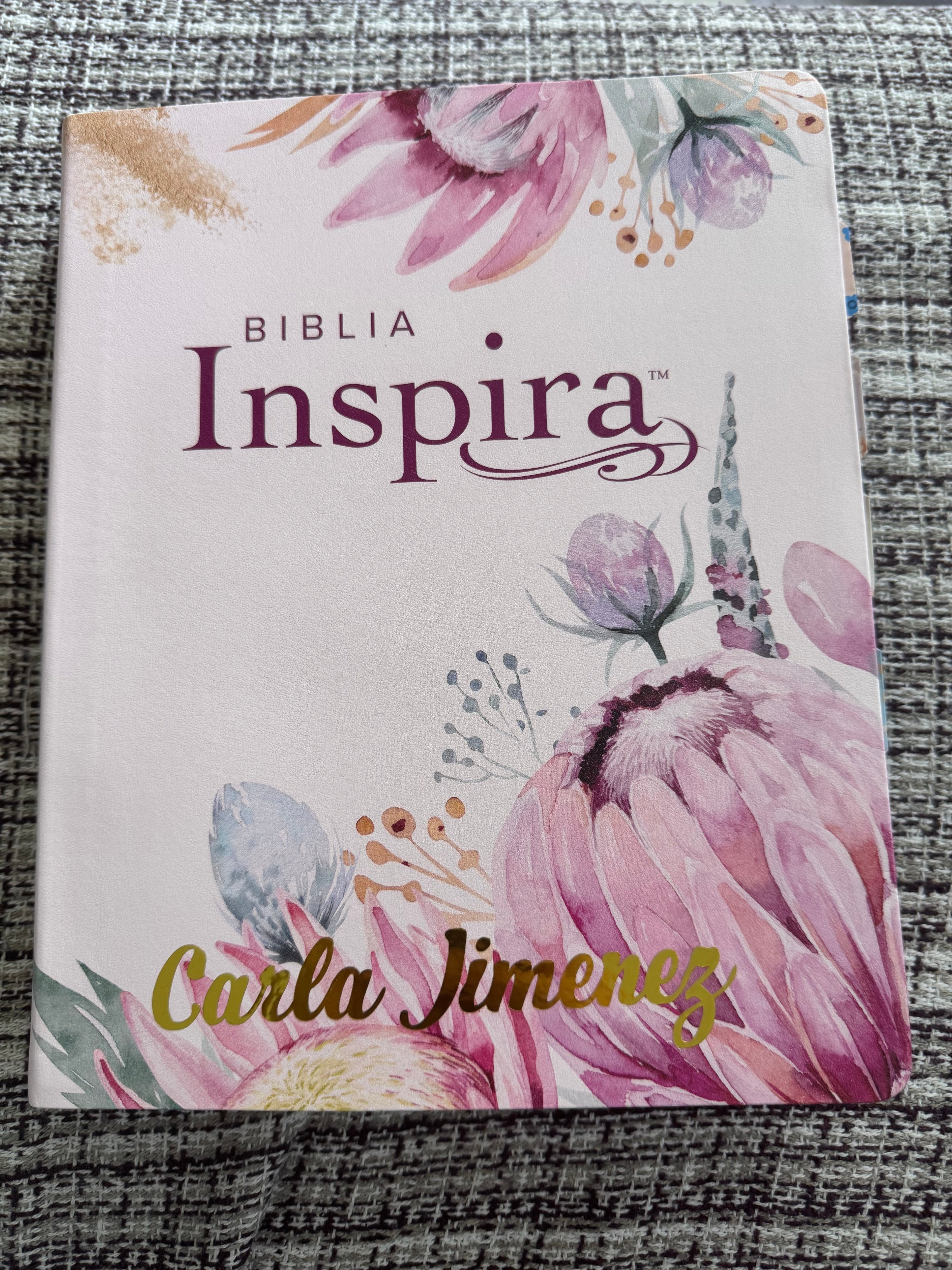 Biblia inspira letra grande NTV rosa