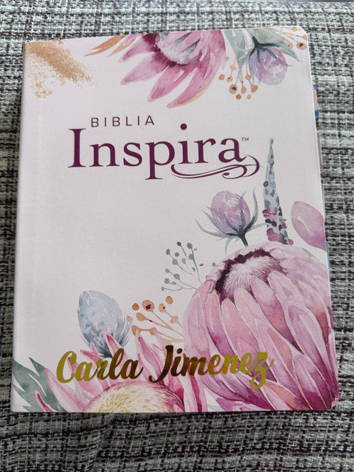 Biblia inspira letra grande NTV rosa