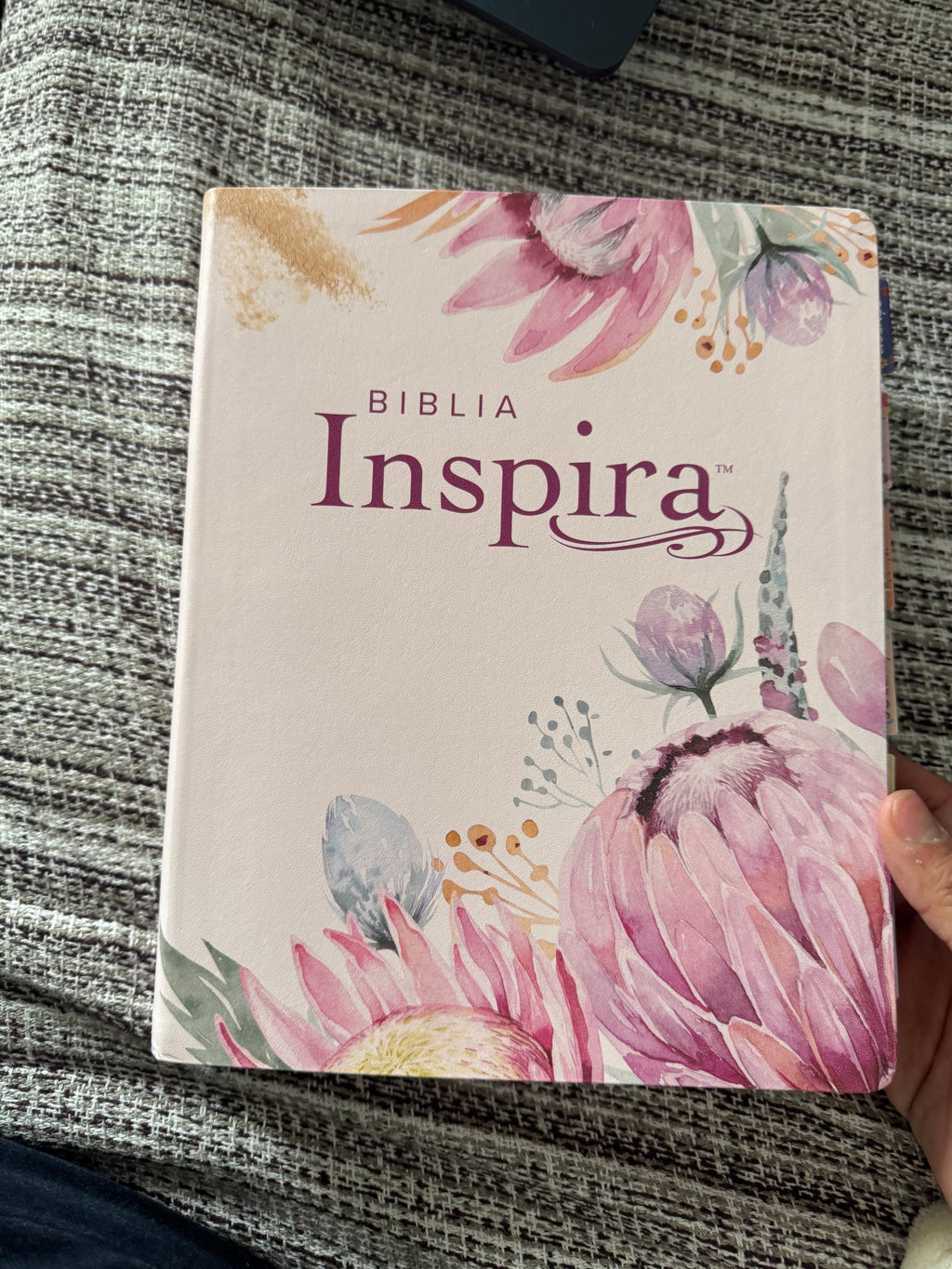Biblia inspira letra grande NTV rosa
