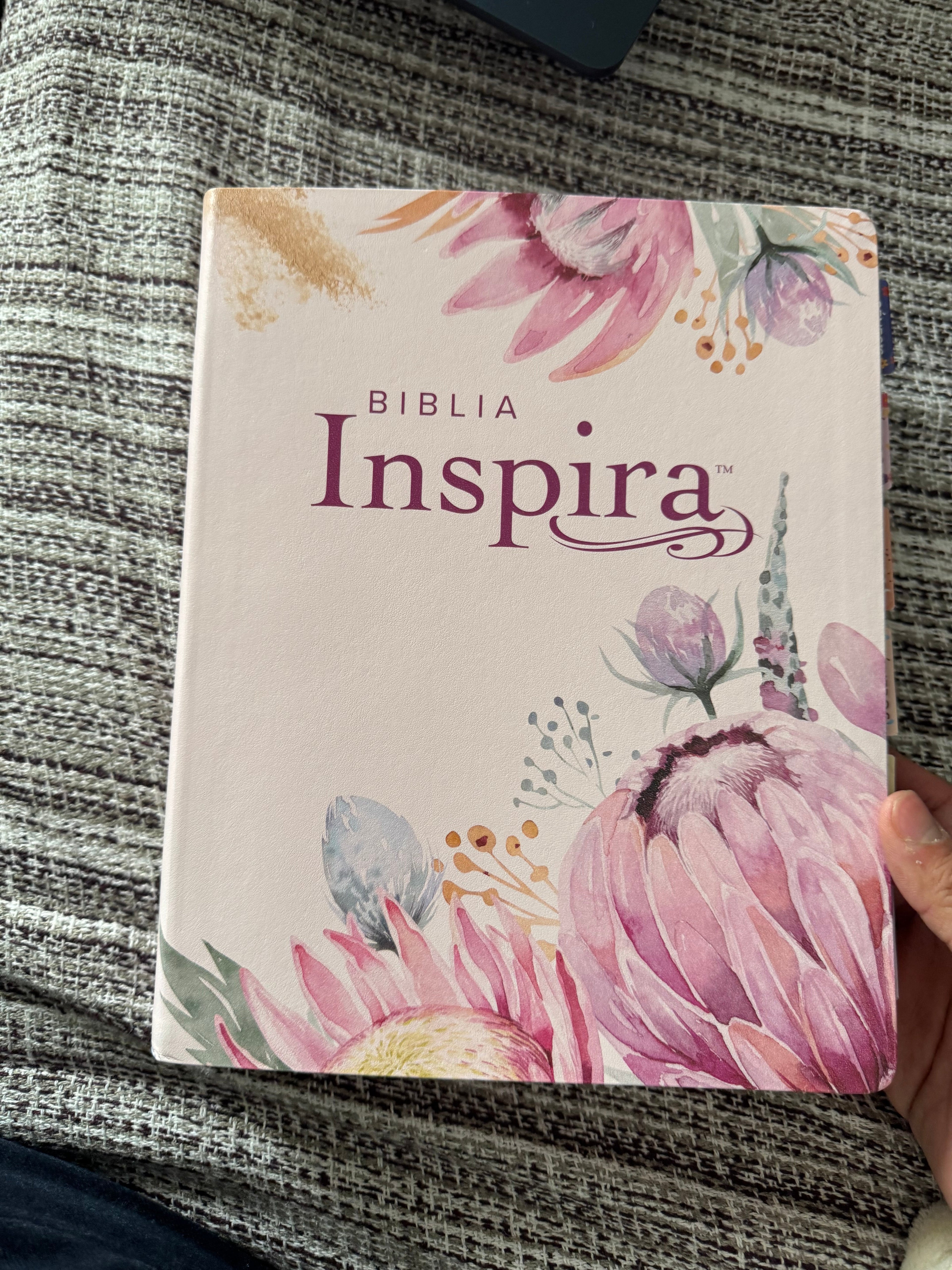 Biblia inspira letra grande NTV rosa