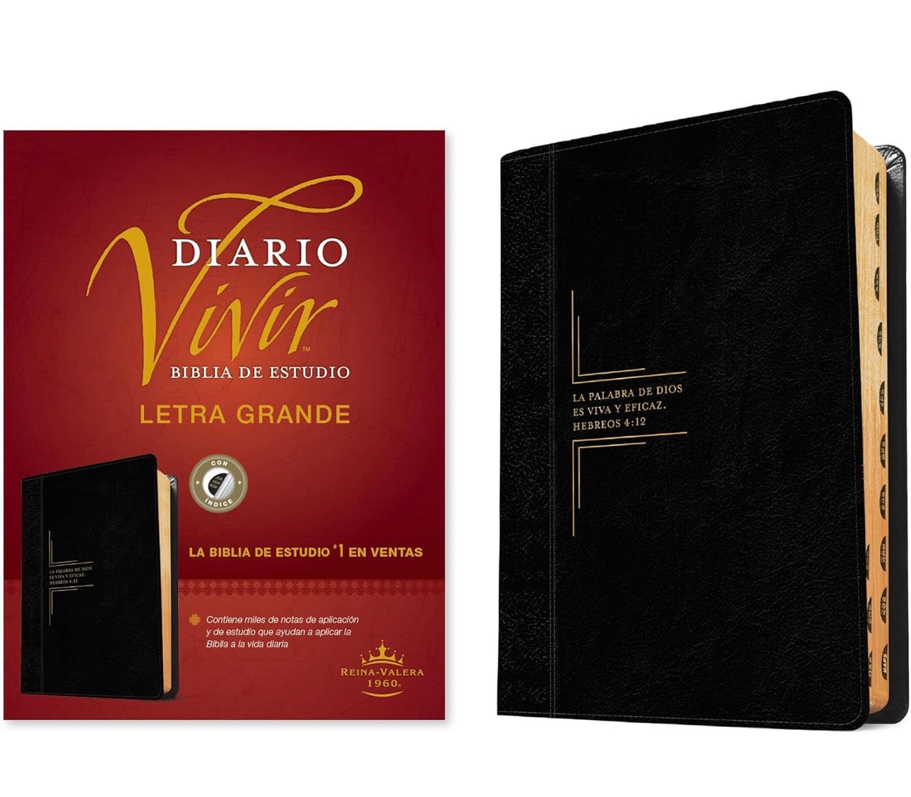 Biblia RVR 1960 de Estudio Diario Vivir Letra Grande Negro Ónice Símil Piel Índice