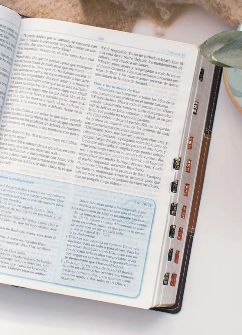 Biblia RVR 1960 Predicación Marrón Claro Oscuro con Índice