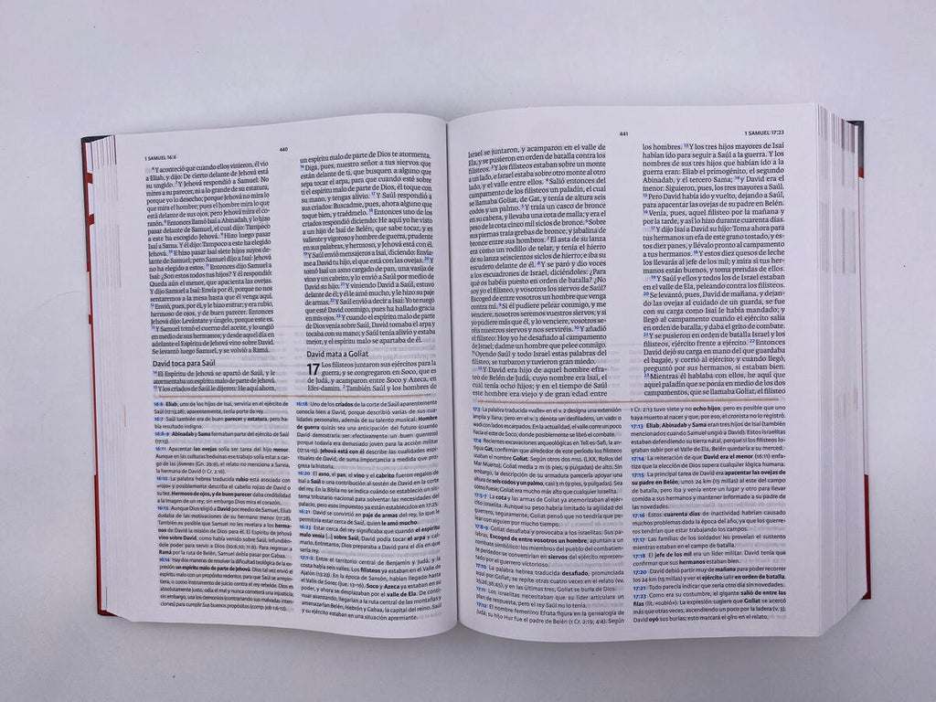 Biblia de Estudio Holman RVR60 Tapa Dura