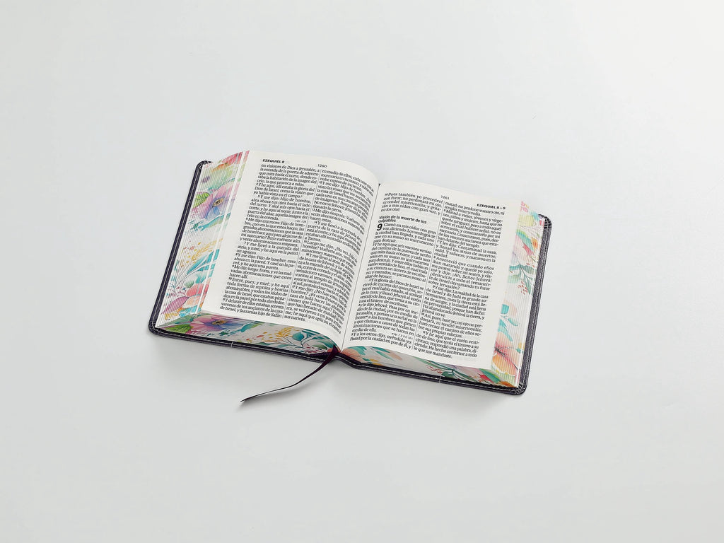 Biblia RVR60 Tamaño compacto Letra Grande 12 puntos