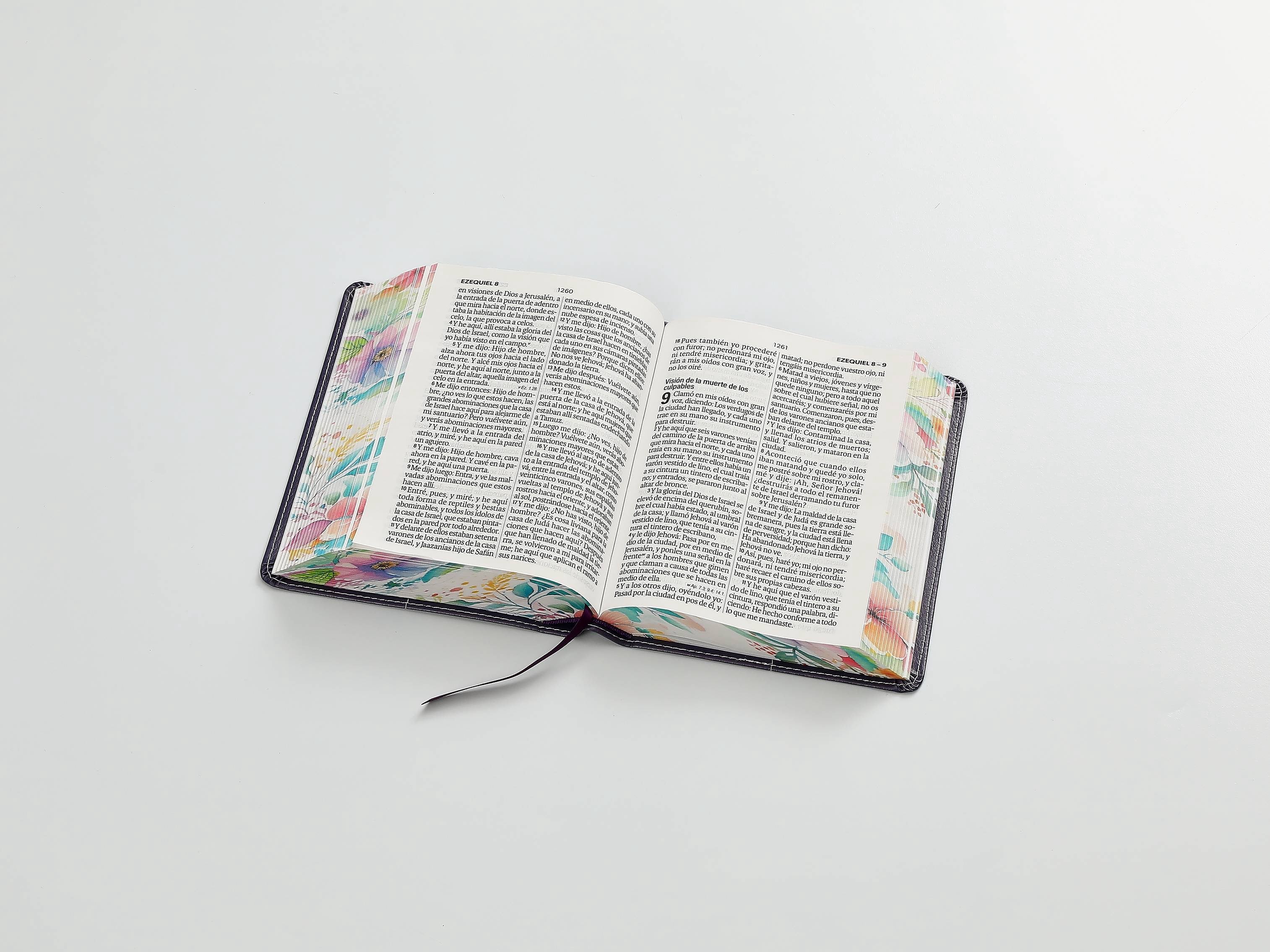 Biblia RVR60 Tamaño compacto Letra Grande 12 puntos