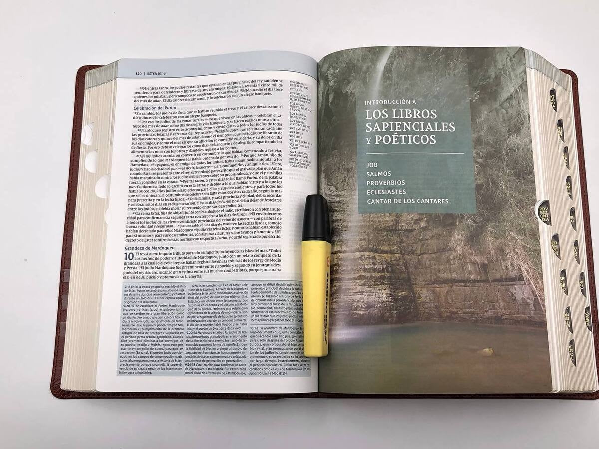Biblia de estudio Teología Bíblica NVI i/piel marrón con índice