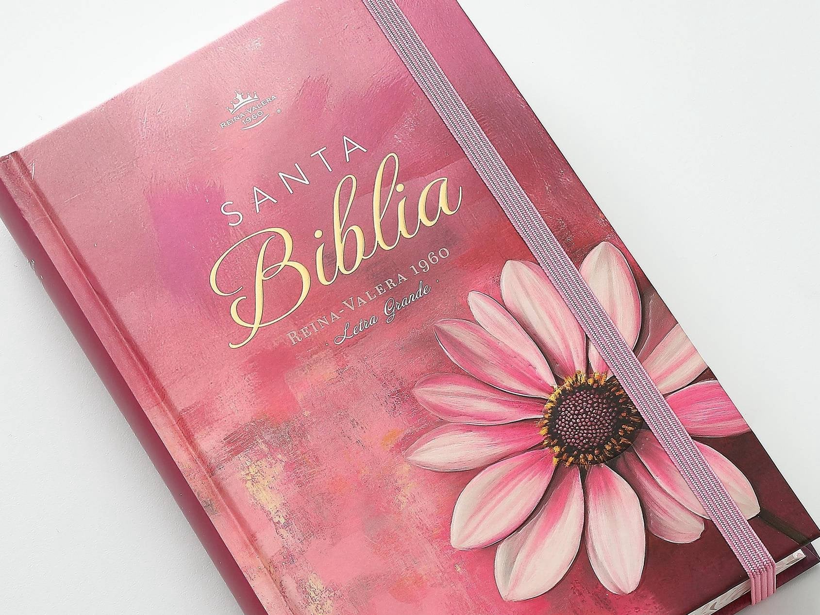 Biblia RVR60 Tamaño manual LEtra GRande TApa rosa