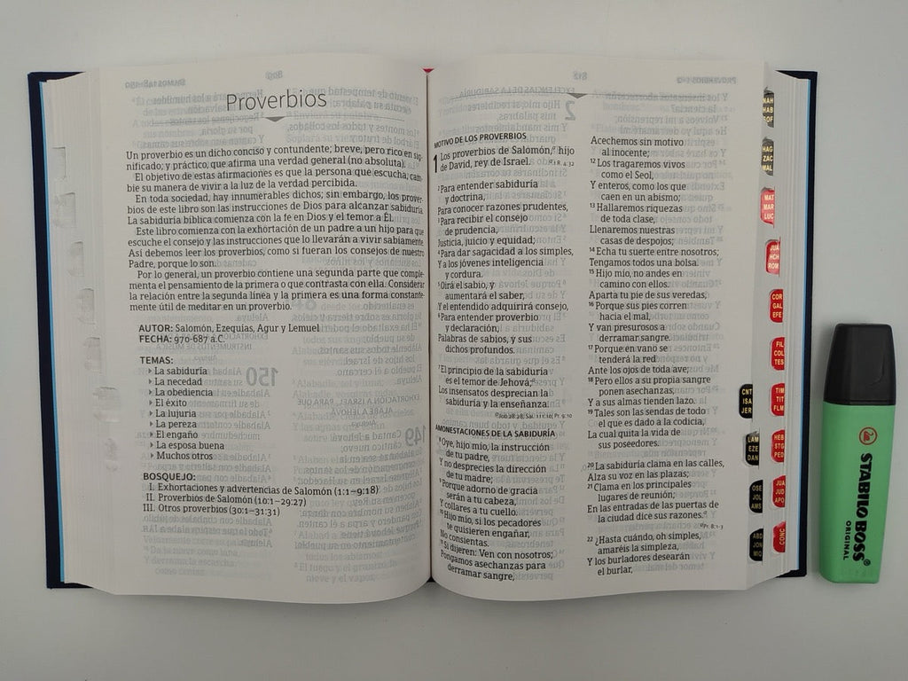 Biblia RVR 1960 Letra Grande Tamaño Manual Bordado con índice