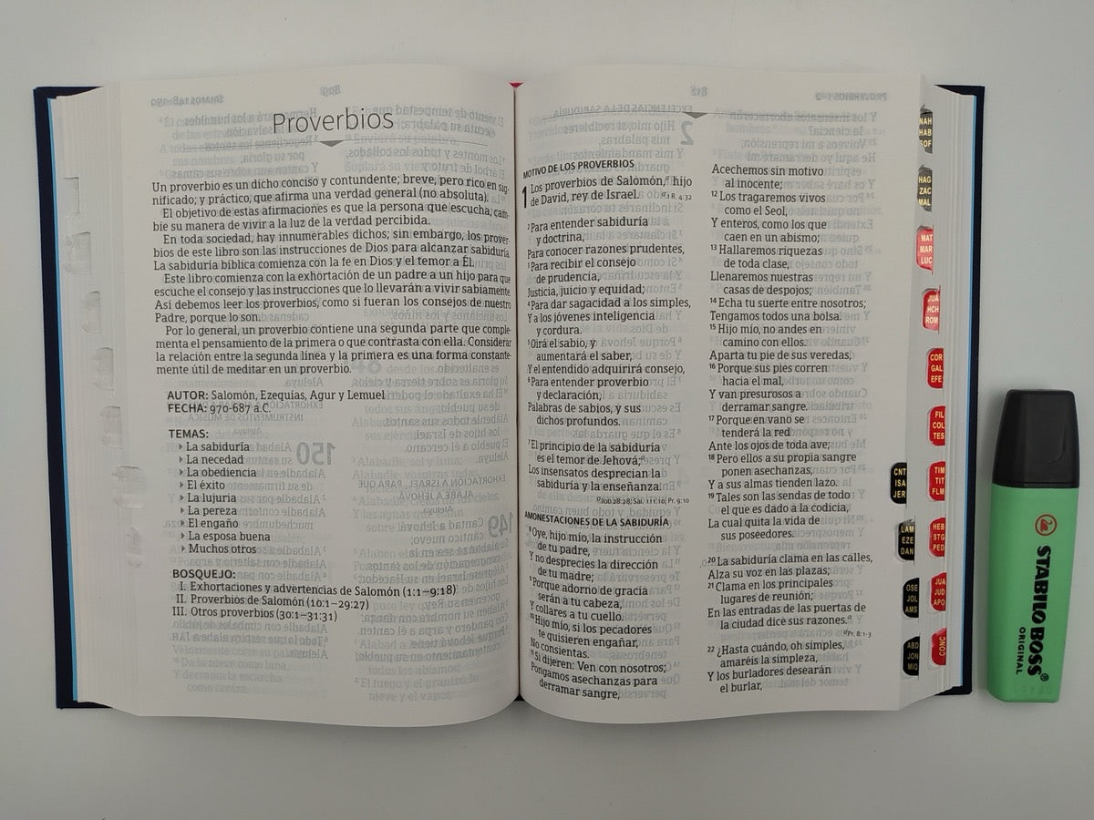 Biblia RVR 1960 Letra Grande Tamaño Manual Bordado con índice