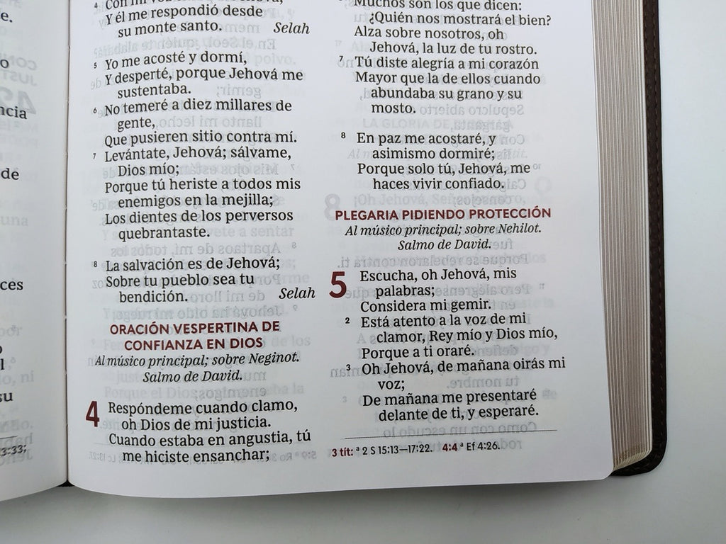 Biblia RVR 1960 Ultrafina Letra Gigante Piel Café Interior