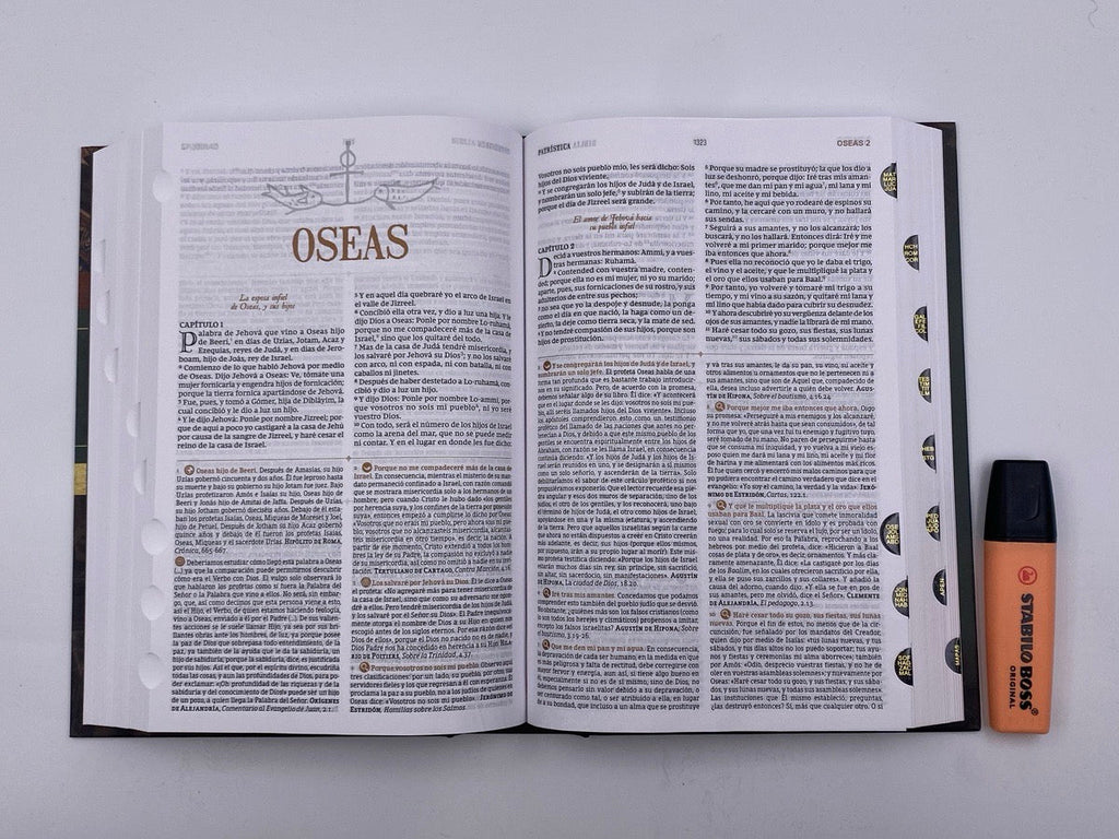 Biblia RVR 1977 de Estudio Patrística Tapa Dura con Índice