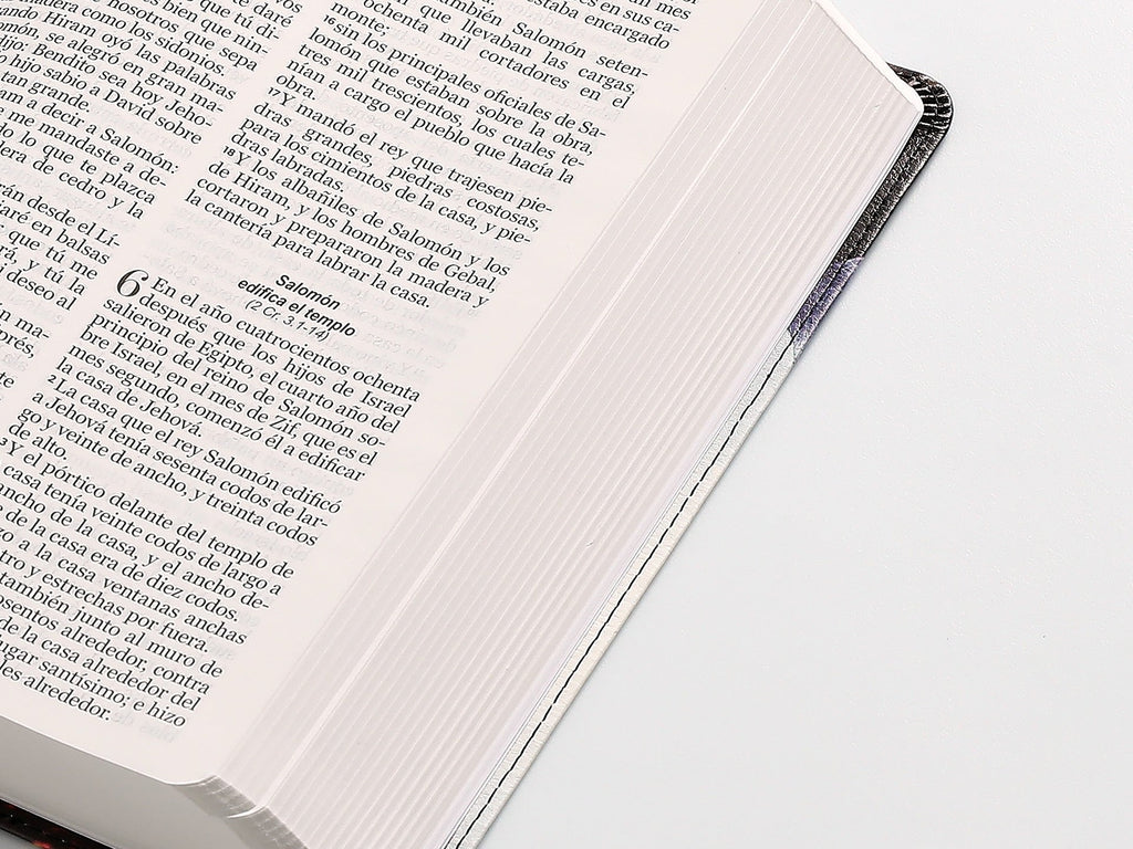 Biblia RVR60 Tamaño manual Letra Grande con espada