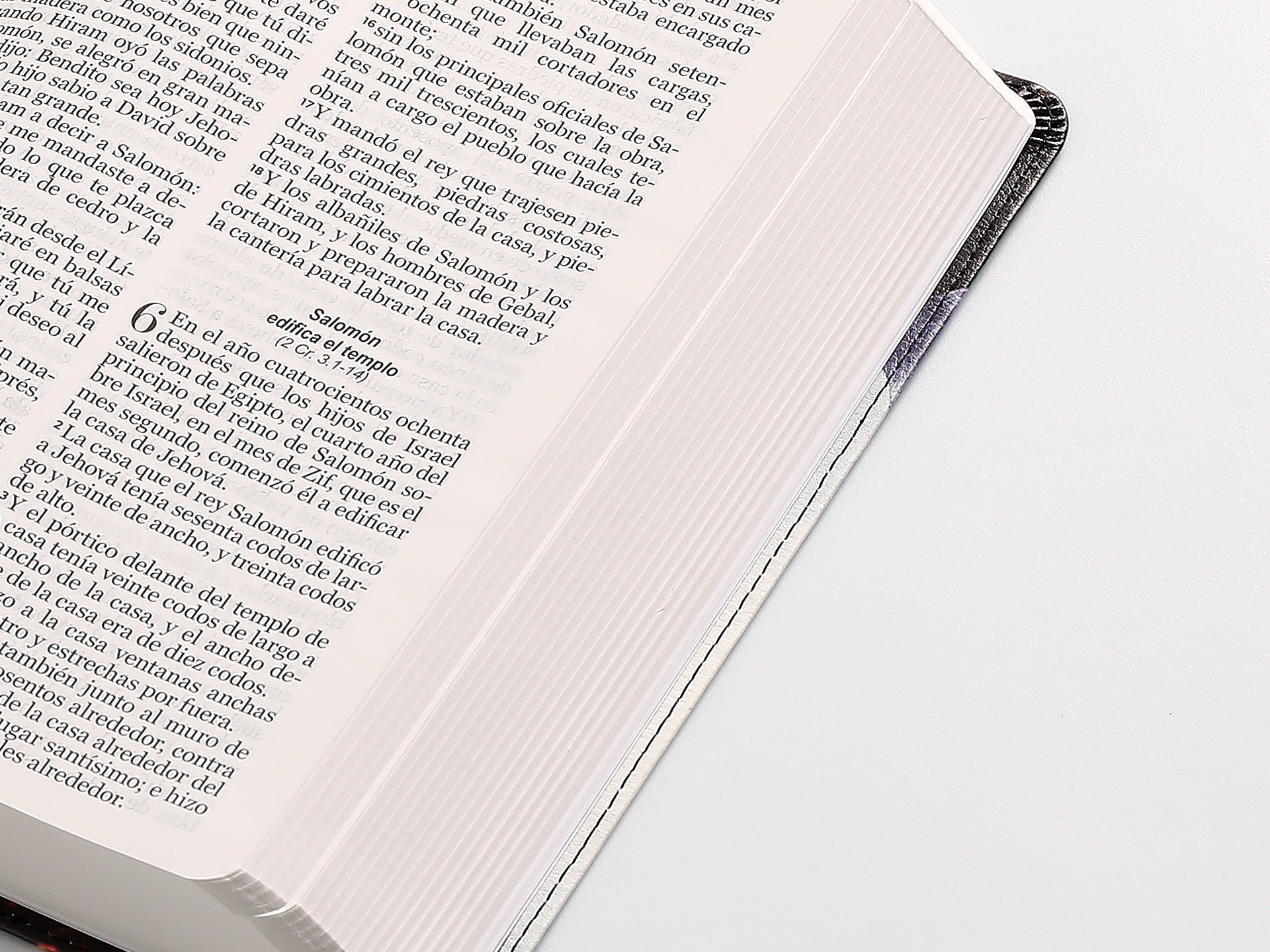 Biblia RVR60 Tamaño manual Letra Grande con espada