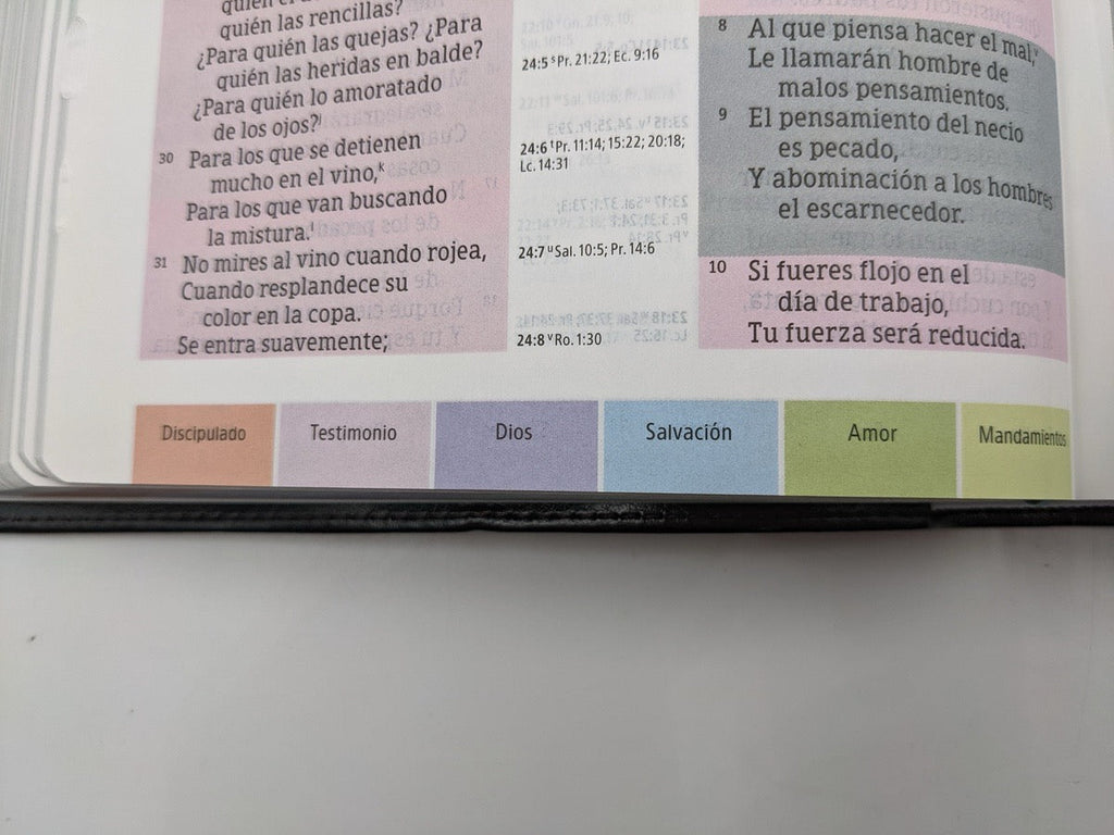 Biblia RVR 1960 de Estudio Arco Iris Multicolor Símil Piel Negro con Índice