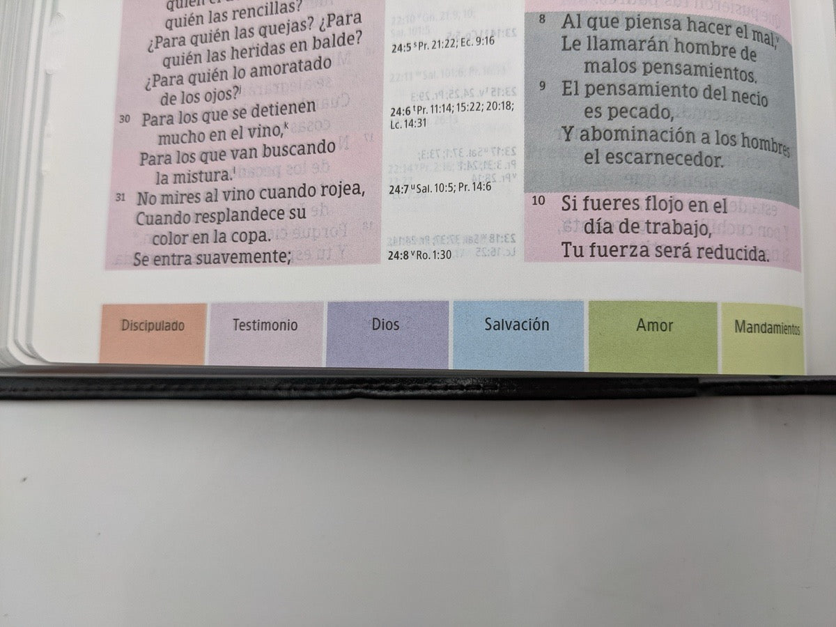 Biblia RVR 1960 de Estudio Arco Iris Multicolor Símil Piel Negro con Índice