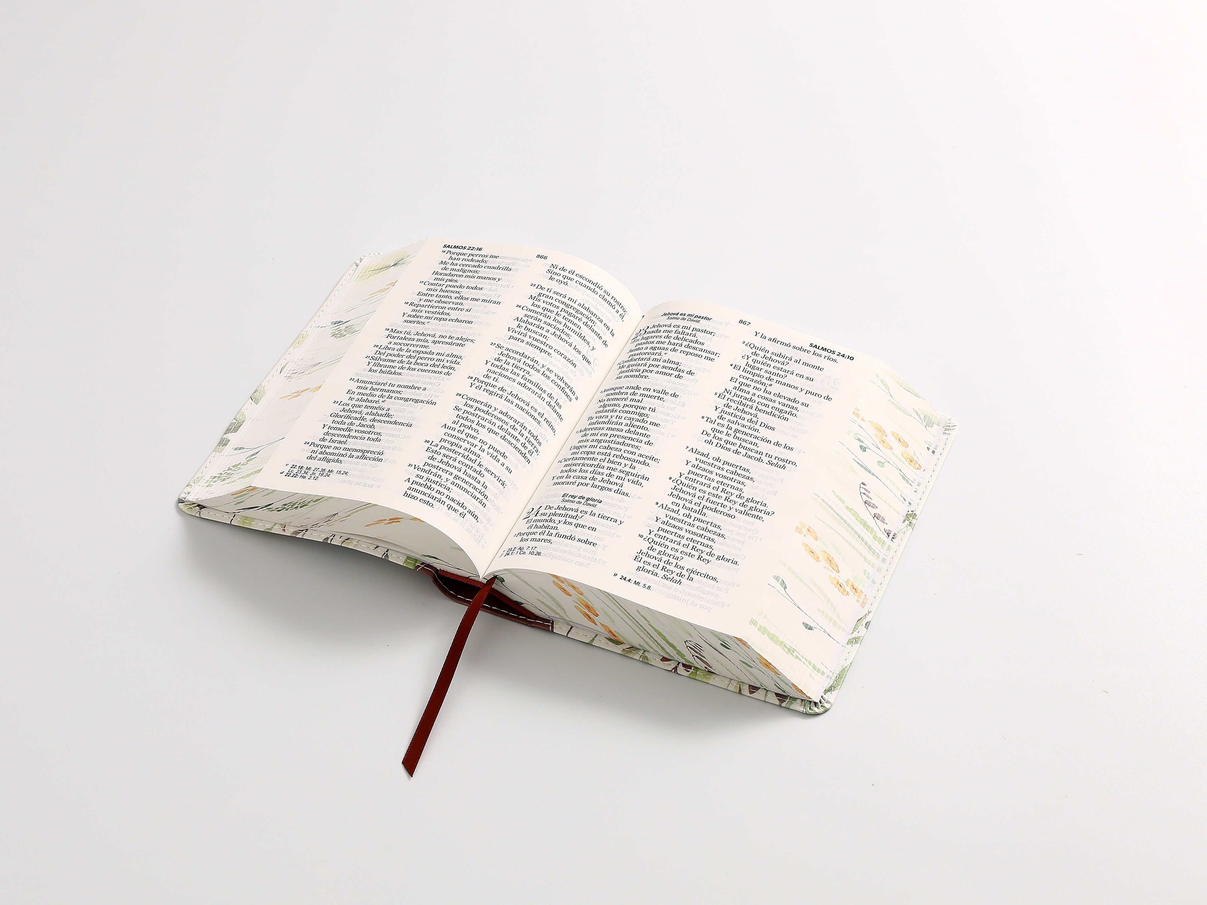Biblia RVR60 portátil Letra Grande 11 puntos marrón