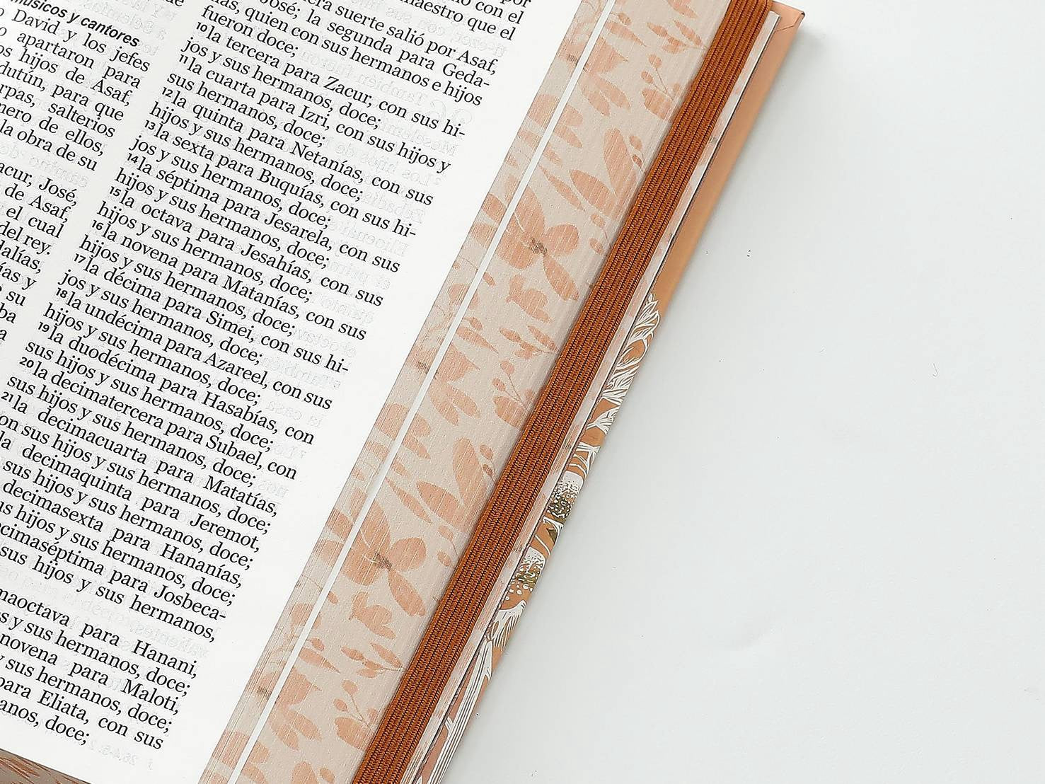 Biblia RVR60 Tamaño manual LEtra GRande TApa dura coral