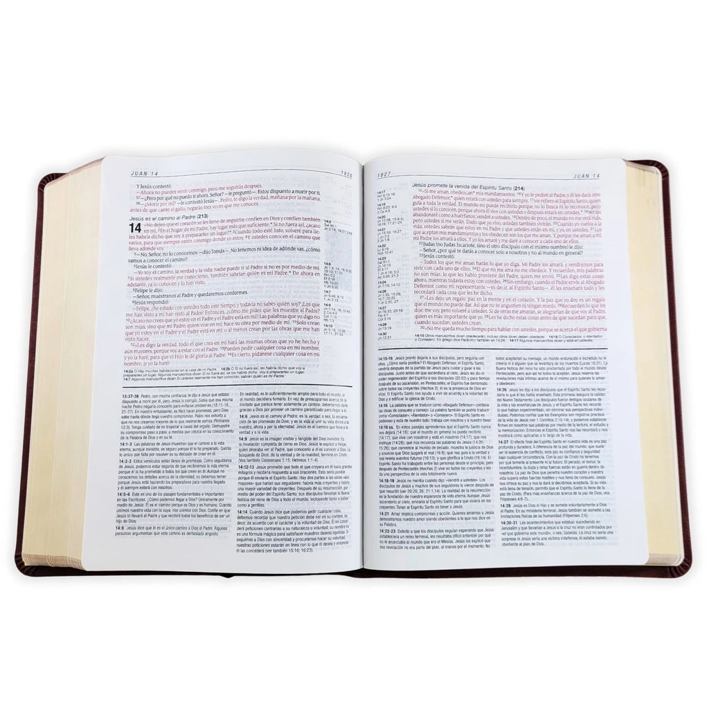 Biblia NTV de Estudio del Diario Vivir Símil Piel Café Letra Roja