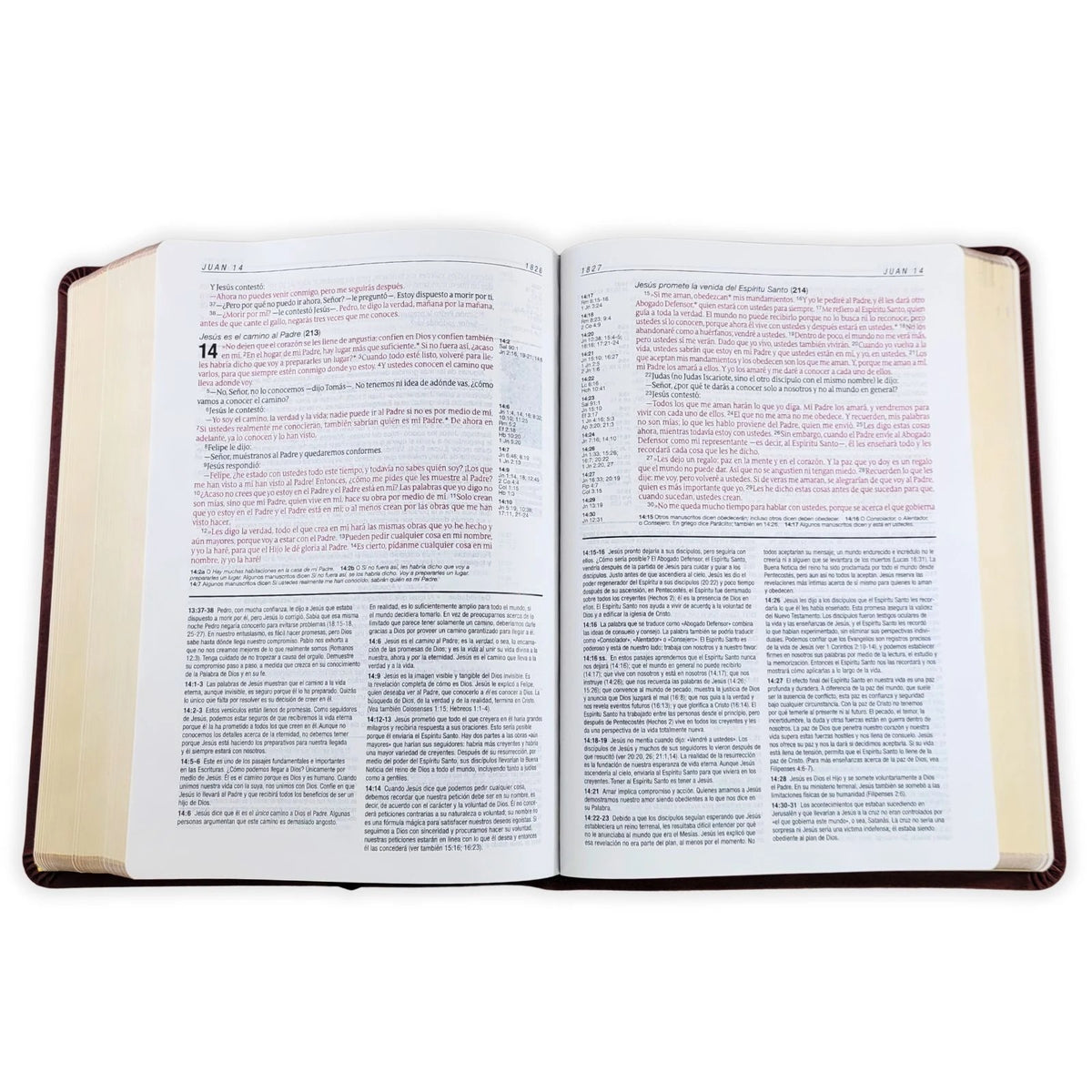 Biblia NTV de Estudio del Diario Vivir Símil Piel Café Letra Roja