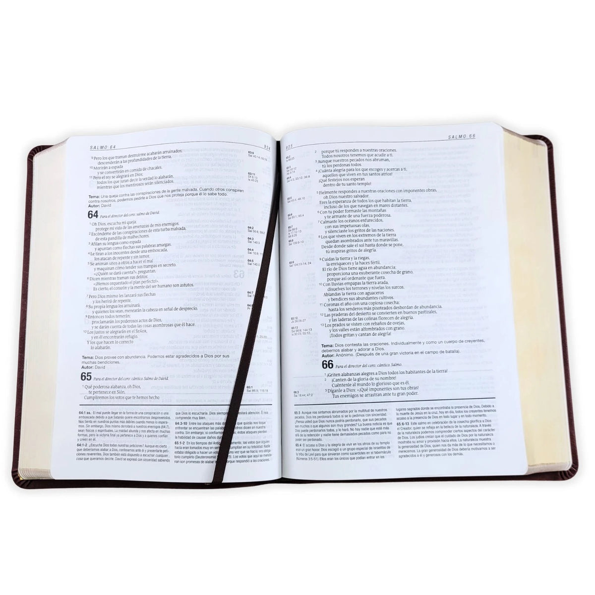 Biblia NTV de Estudio del Diario Vivir Símil Piel Café Letra Roja