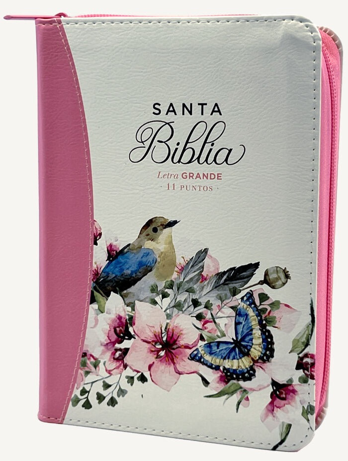 Biblia RVR60 portátil Letra Grande 11 puntos