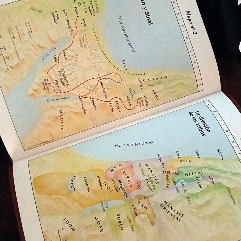 Biblia RVR 1960 de Estudio Explicada Marrón