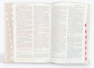 Biblia RVR 1960 Súper Gigante Gris Marrón Símil Piel con Índice
