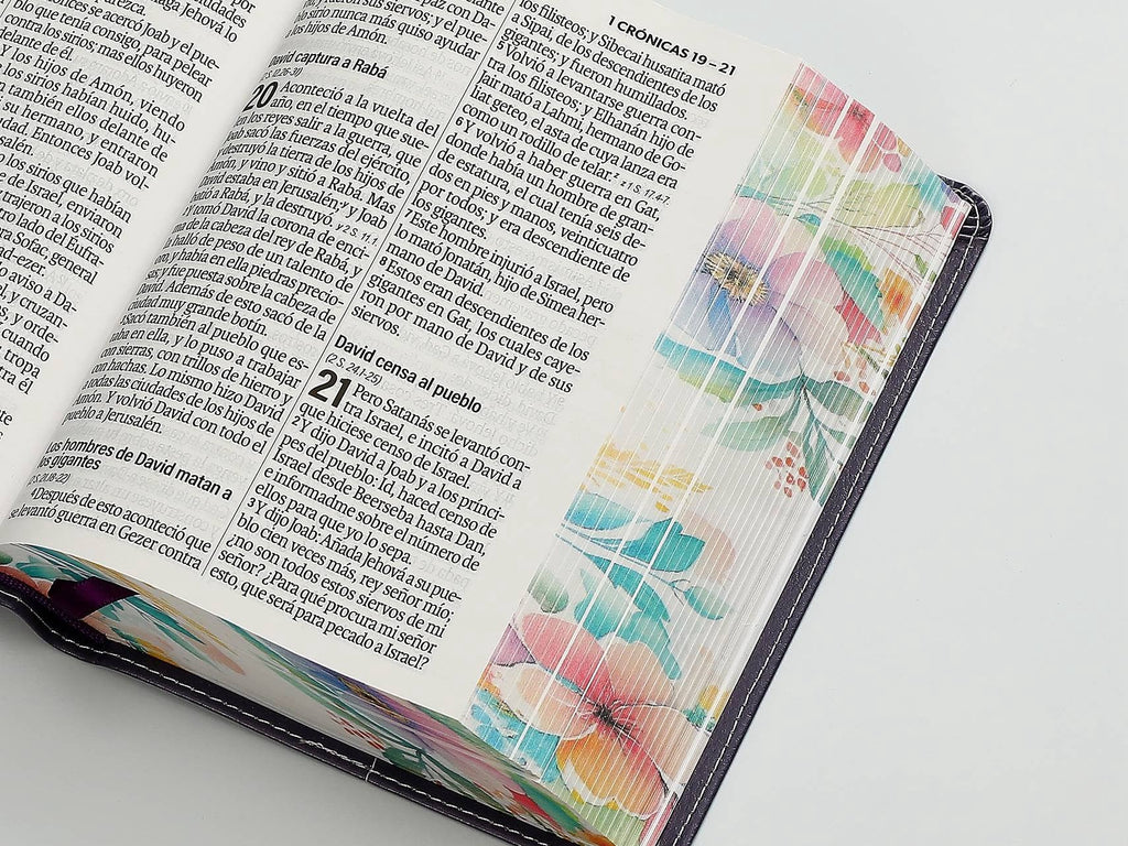Biblia RVR60 Tamaño compacto Letra Grande 12 puntos