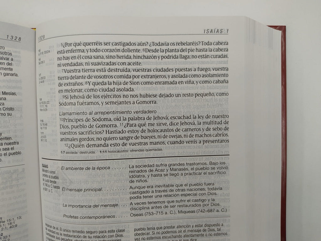 Biblia RVR 1960 de Estudio Diario Vivir Letra Grande Vino Tinto Tapa Dura