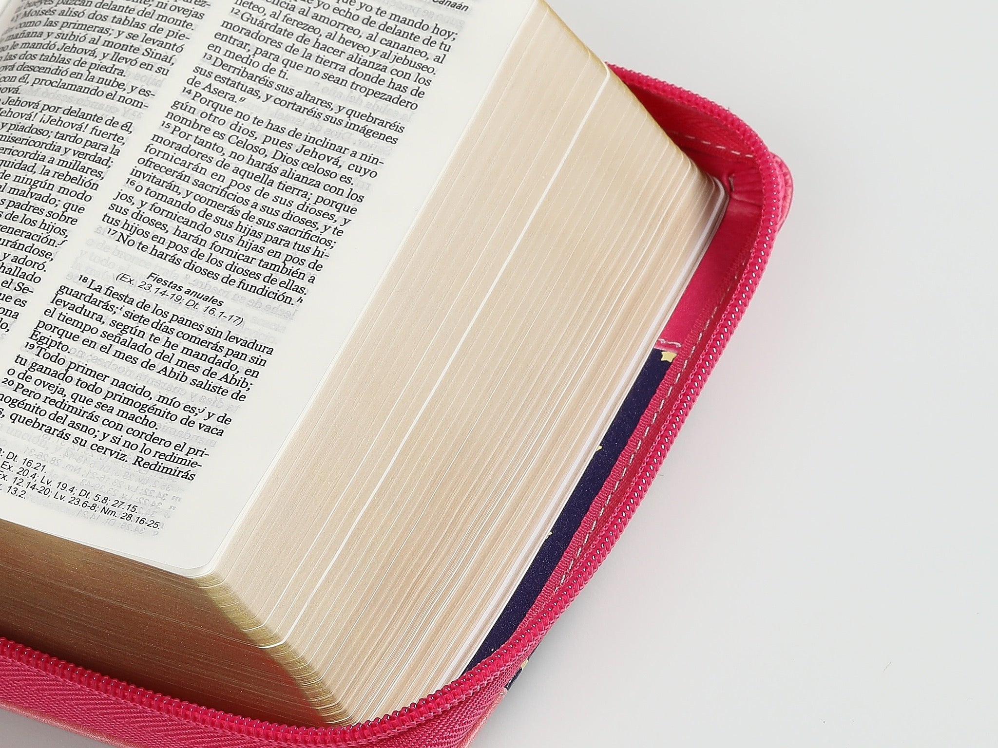 Biblia RVR60 de bolsillo Primor Rosa