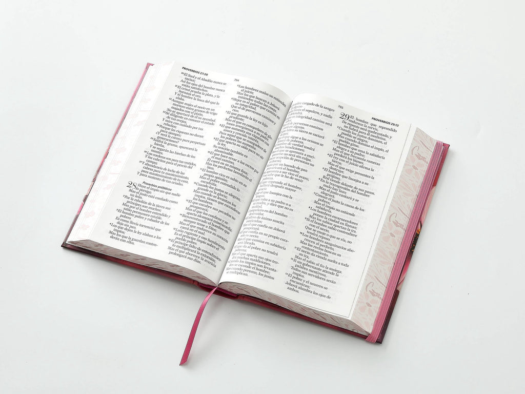 Biblia RVR60 Tamaño manual LEtra GRande TApa rosa