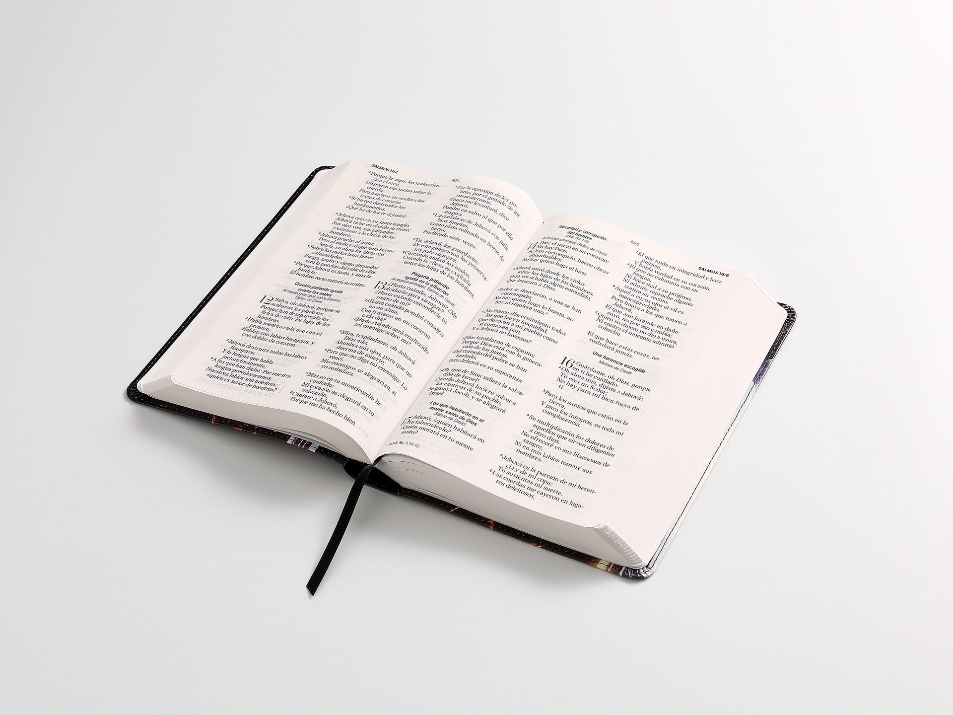 Biblia RVR60 Tamaño manual Letra Grande con espada