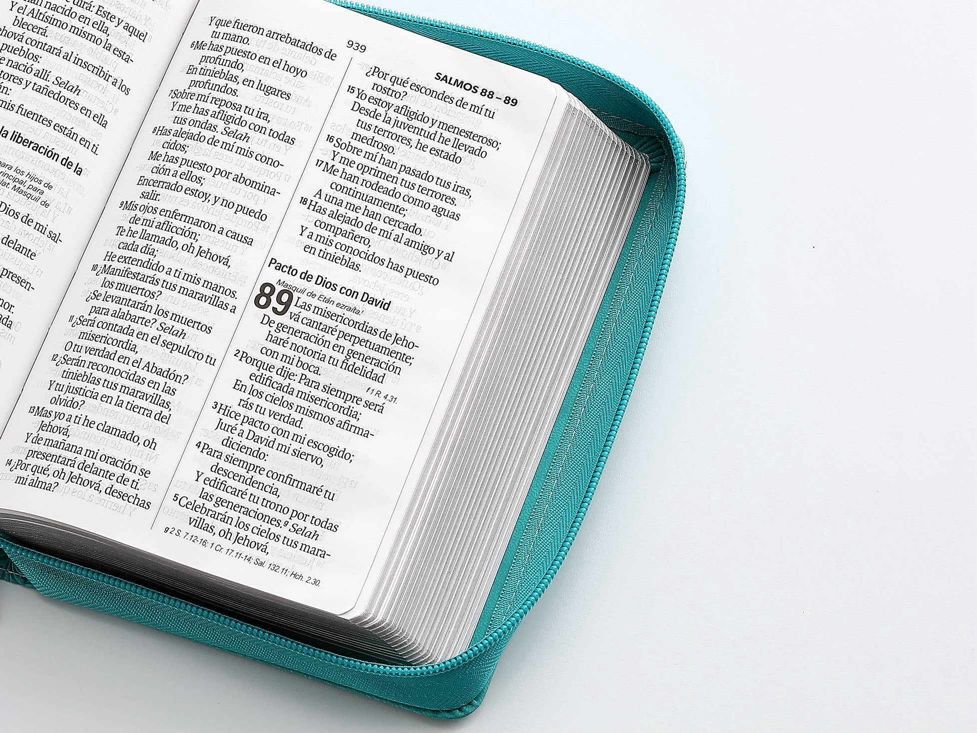 Biblia RVR60 Tamaño compacto Letra Grande 12 puntos FLORAL CON CIERRE