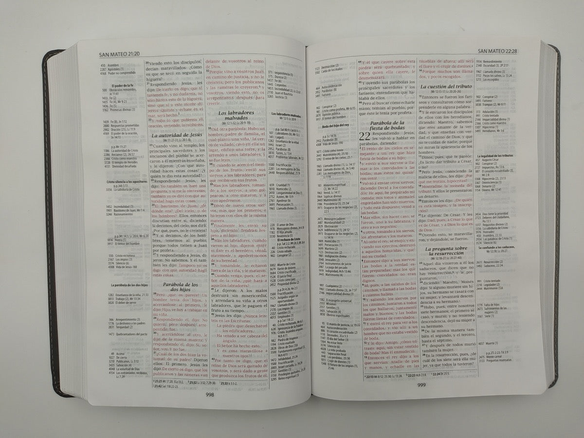 Biblia Thompson RVR60 Referencias