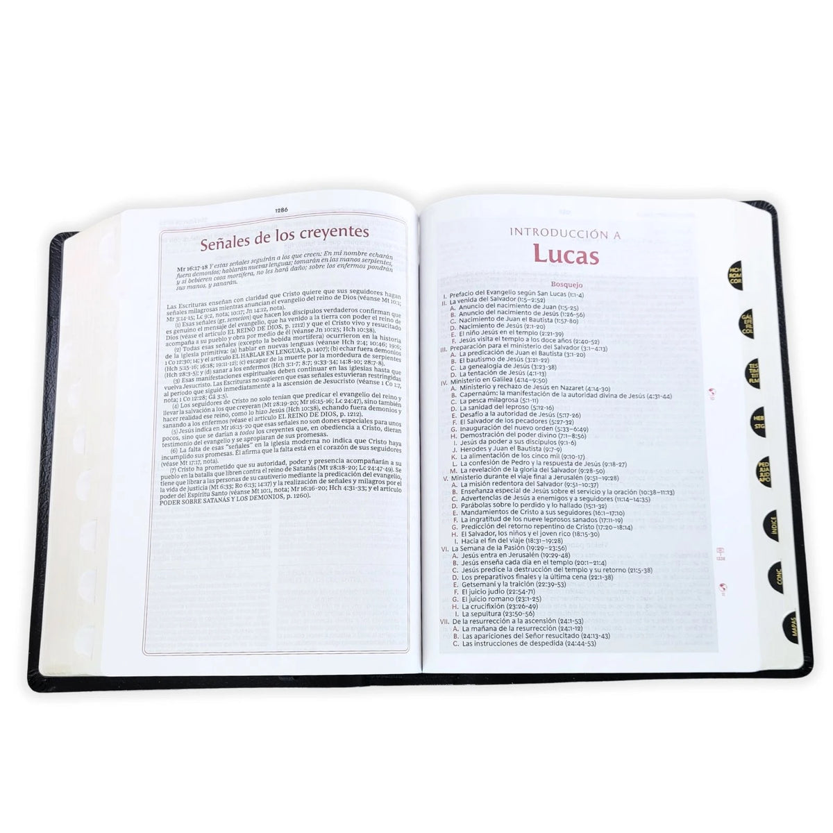 Biblia RVR 1960 de Estudio de la Vida Plena Piel Fabricada Negro con Índice