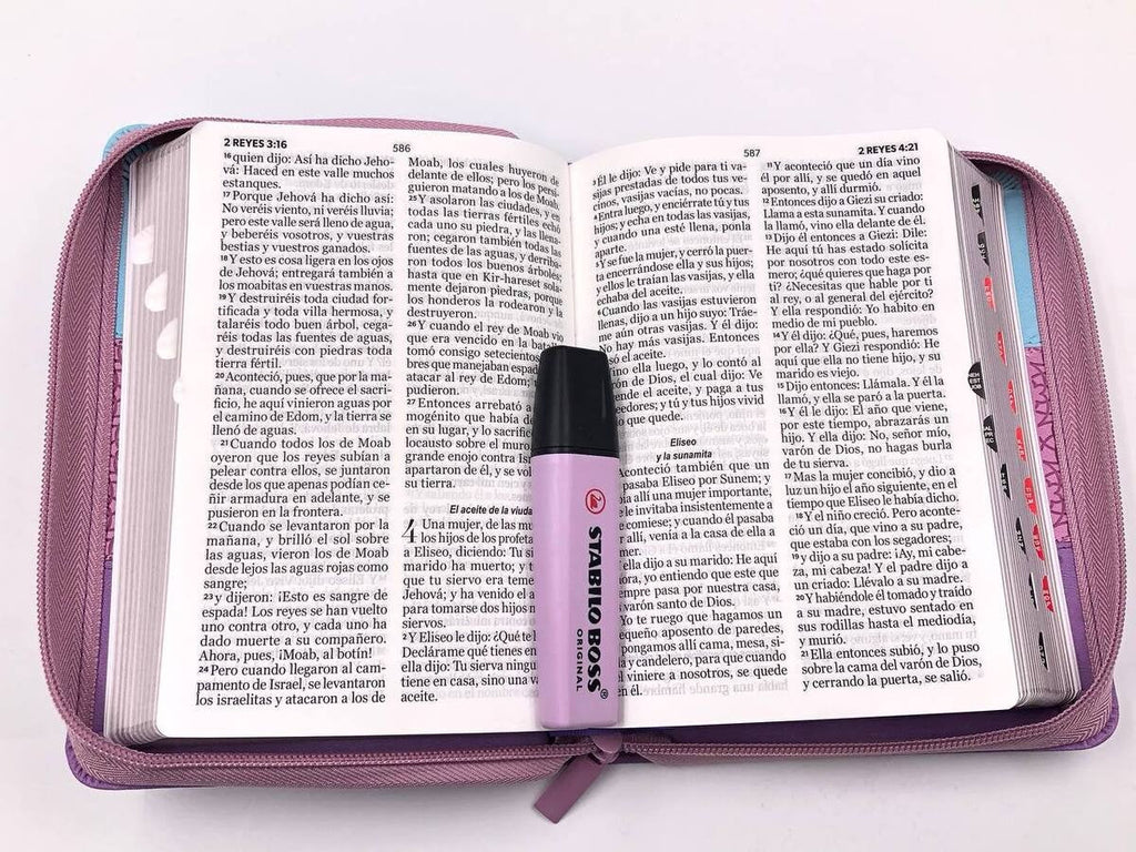 Biblia RVR60 portátil Letra Grande 11 puntos Tricolor Azu