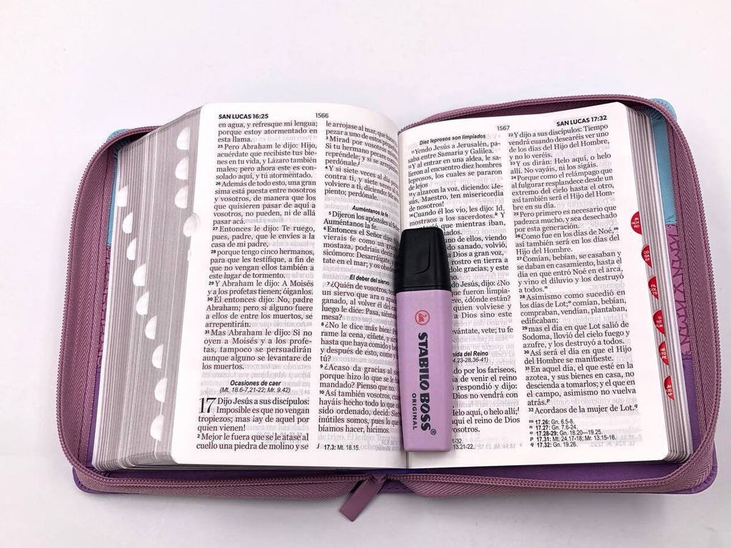 Biblia RVR60 portátil Letra Grande 11 puntos Tricolor Azu