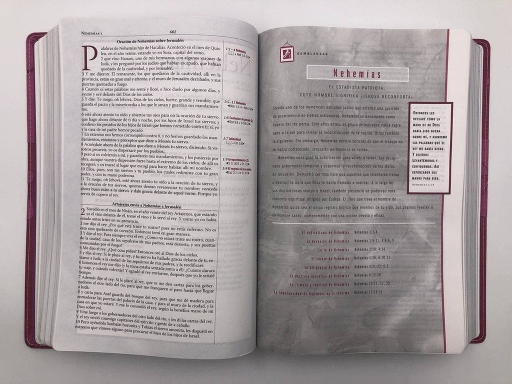 Biblia RVR 1960 de Estudio Thompson rosa piel