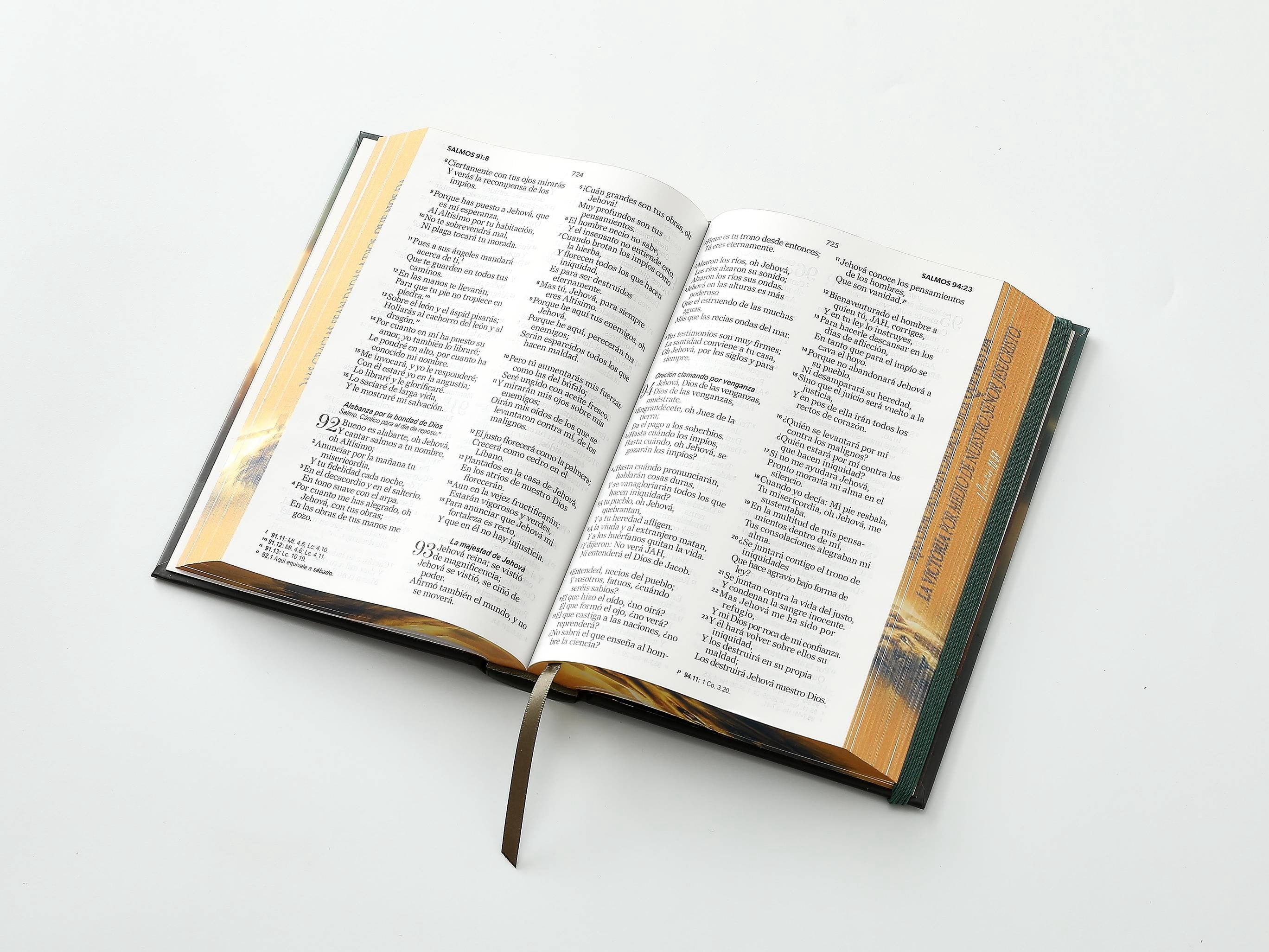 Biblia RVR60 Tamaño manual LEtra GRande TApa dura león
