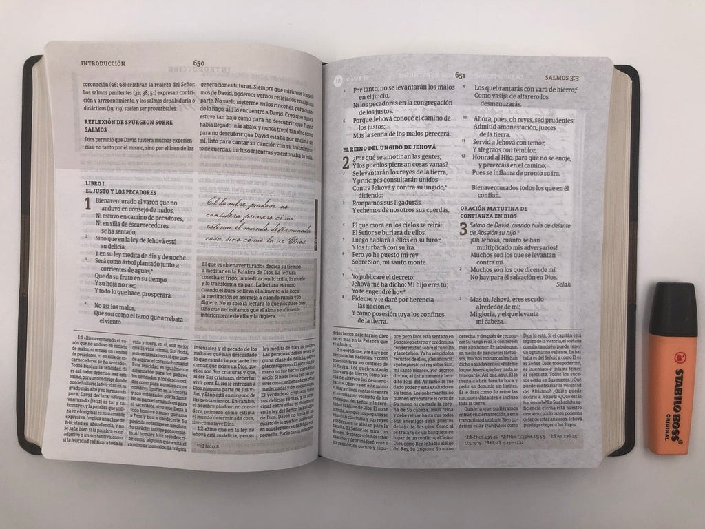 Biblia RVR 1960 de Estudio Spurgeon marrón semi piel